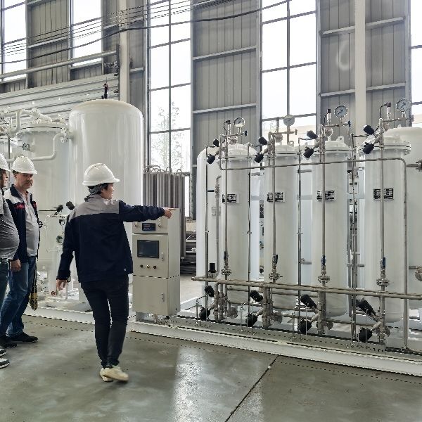 Plug and Play Installation Pressure Swing Adsorption Oxygen Plant